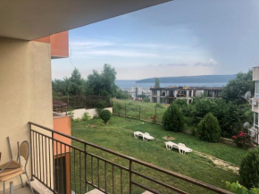 The View